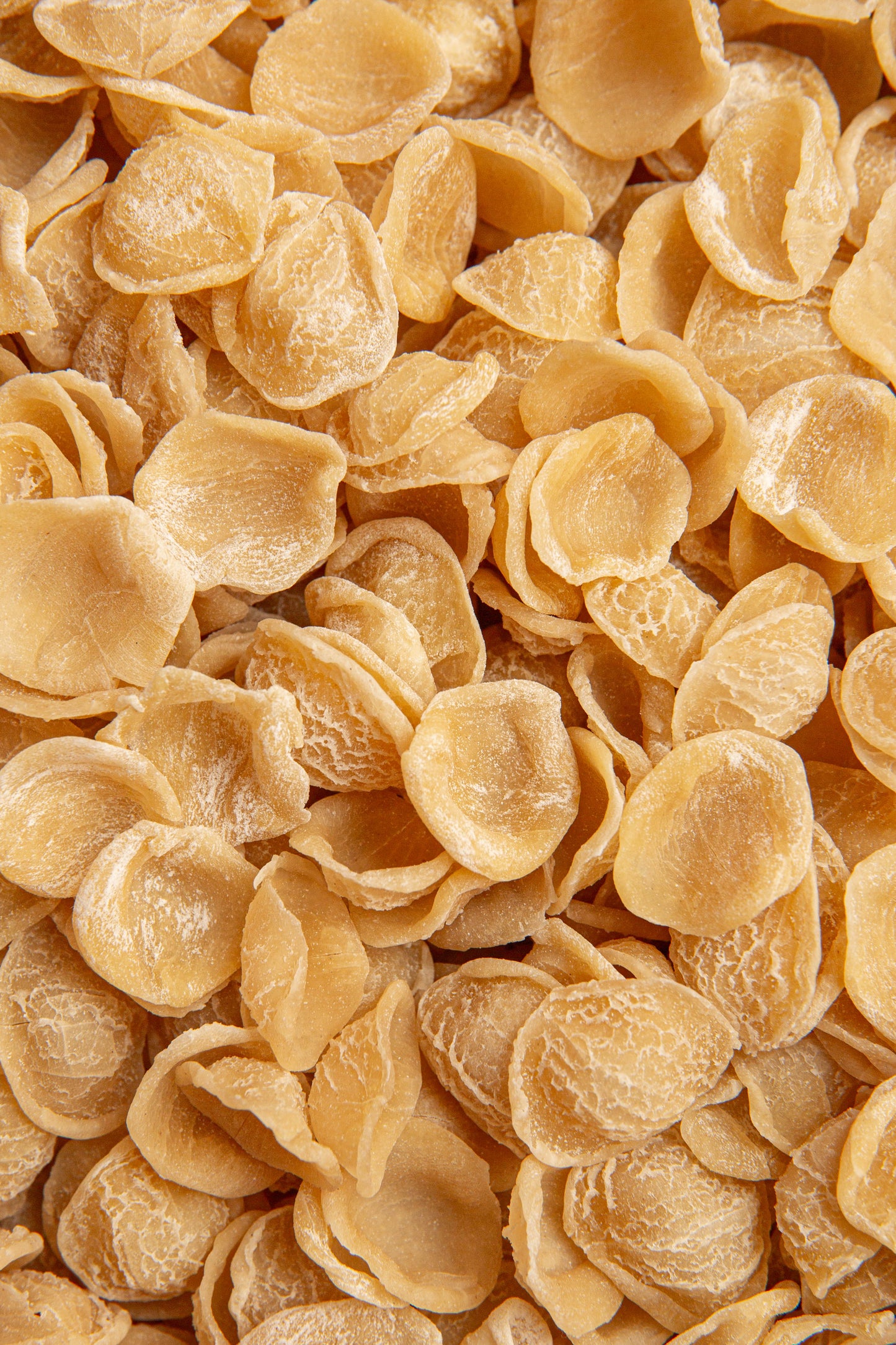 Orecchiette